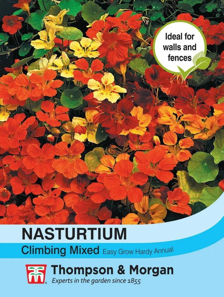 Nasturtium Climbing Mixed Cowell S Garden Centre Woolsington