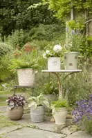Outdoor Pots & Planters