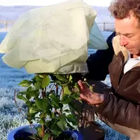 Plant Protection