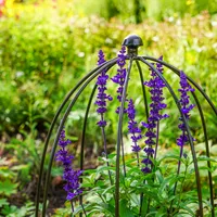 Plant Supports
