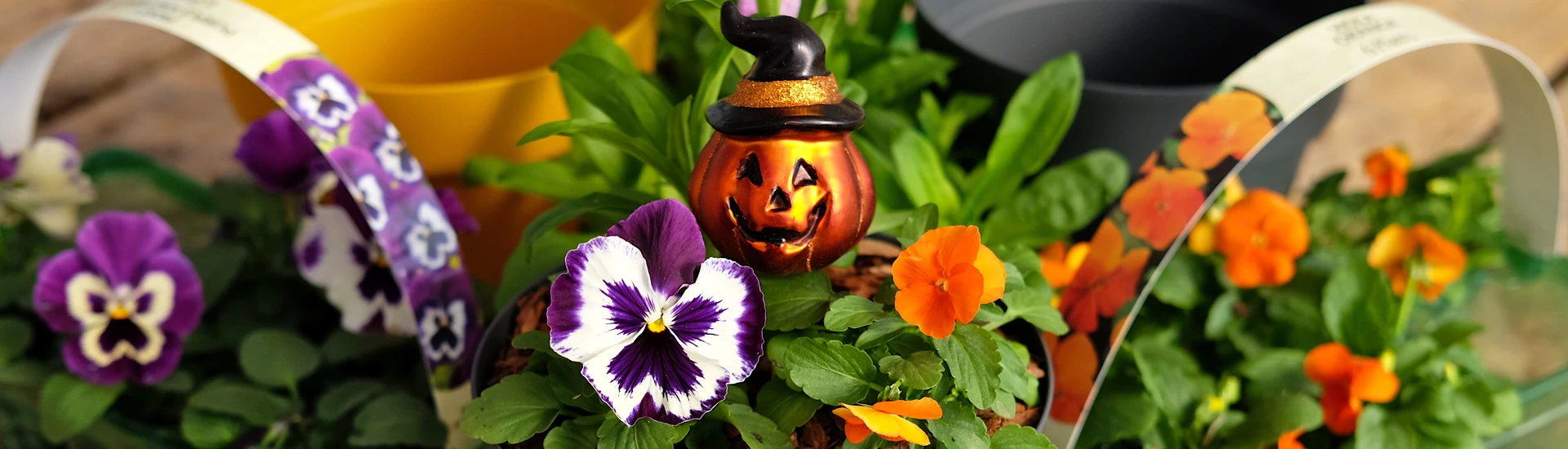 October Half Term Workshop Children's Halloween Workshop