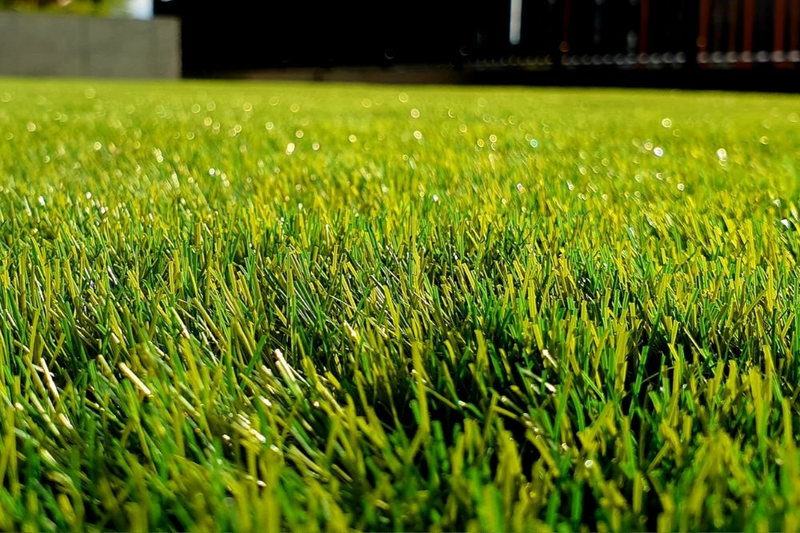Keep Your Lawn Looking Healthy