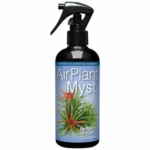 Air Plant Myst