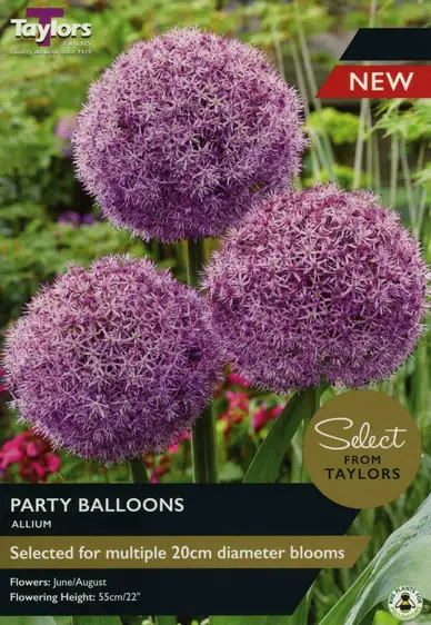 Allium Party Balloons