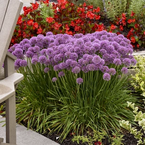 Picture Credit - Walters Gardens, Inc.