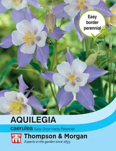 Aquilegia caerulea - image 1