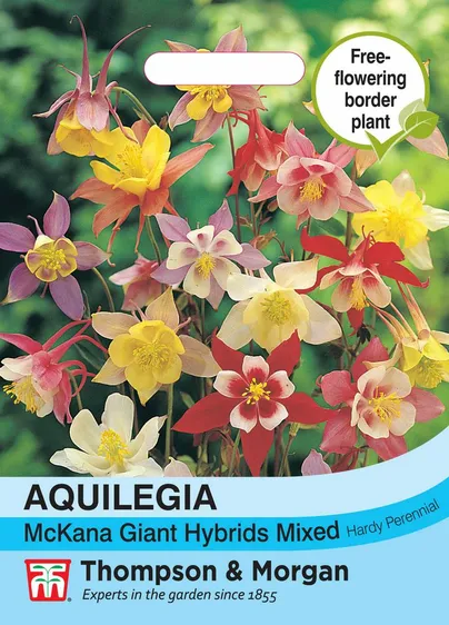 Aquilegia McKana Giant Hybrids Mixed - image 1