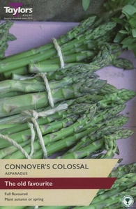 Asparagus Connover's Colossal