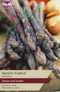 Asparagus Pacific Purple