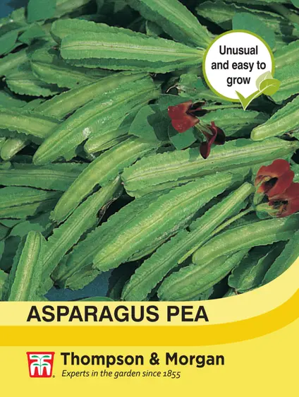 Asparagus Pea - image 1