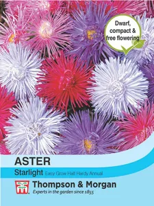 Aster Starlight Mixed - image 1