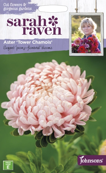 Aster Tower Chamois