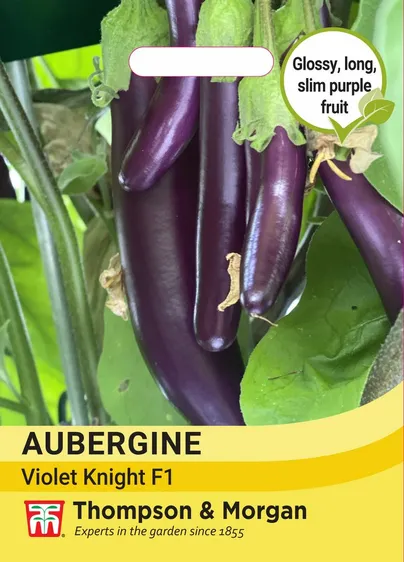 Aubergine Purple Knight F1 - image 1