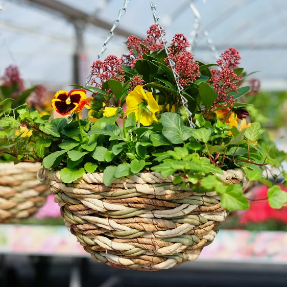 Autumn Hanging Basket - 12" - image 2