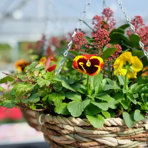 Autumn Hanging Basket - 12" - image 1