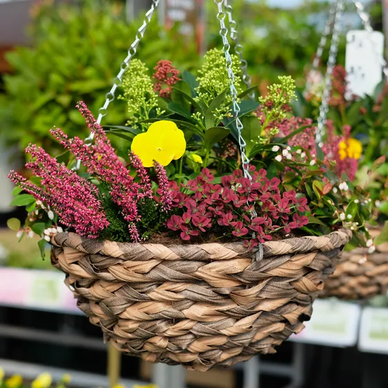 Autumn Hanging Basket - 14"