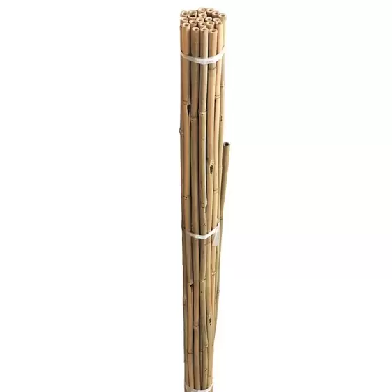 Bamboo Canes Bundle - 150cm