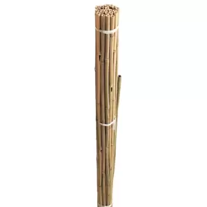 Bamboo Canes Bundle - 210cm