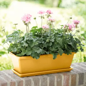 elho Barcelona Honey Yellow Trough 70cm - image 1