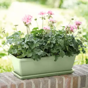 elho Barcelona Pistachio Green Trough 50cm - image 1