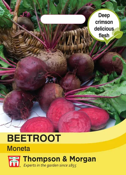 Beetroot Moneta - image 1