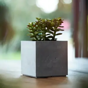 Beton Cube Planter - 13cm - image 1