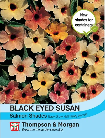 Black Eyed Susan Salmon Shades - image 1