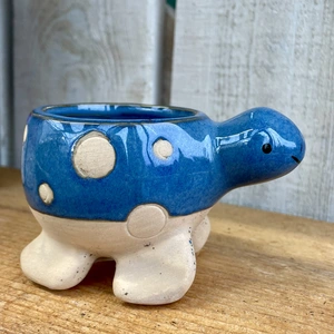 Blue Turtle Pot - ⌀ 6cm