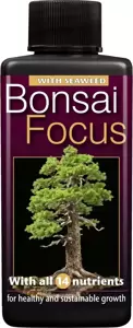 Bonsai Focus 100ml