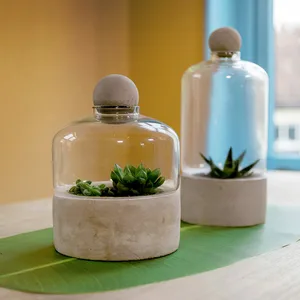 Bottle Terrarium Planter with Concrete Base - Small - image 3