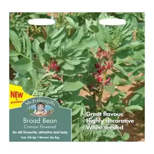 Broad Bean Crimson Flowered - image 1