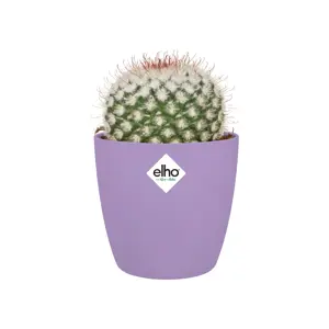 elho Brussels New Violet Mini Pot - Ø9cm - image 2