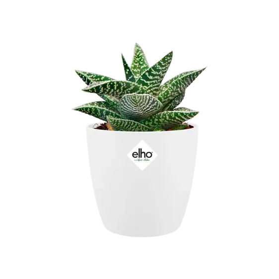 elho Brussels White Mini Pot - Ø7cm - image 1