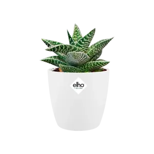 elho Brussels White Mini Pot - Ø7cm - image 1