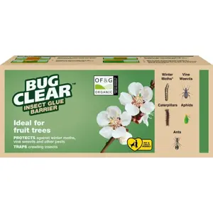 Bug Clear Insect Glue Barrier - image 1