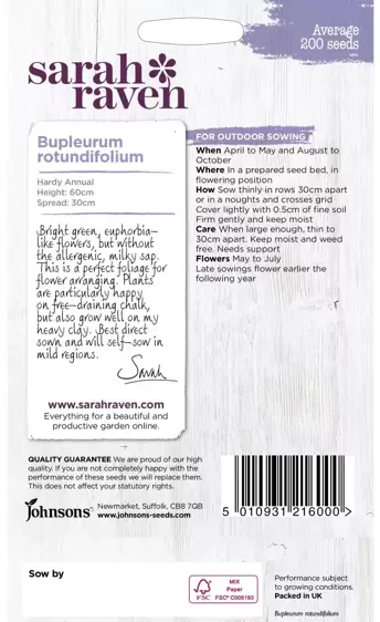 Bupleurum rotundifolium - image 2