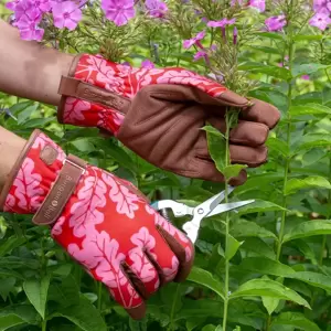 Burgon & Ball Oak Leaf Gloves - Poppy S/M - image 1