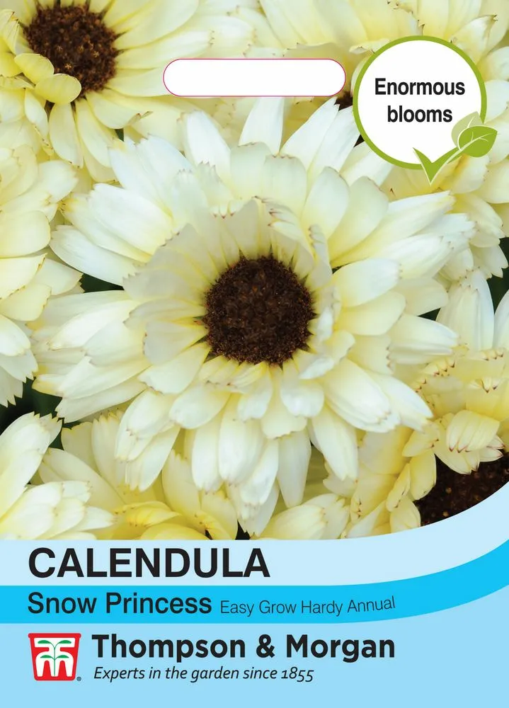 Calendula Snow Princess - Cowell's Garden Centre | Woolsington