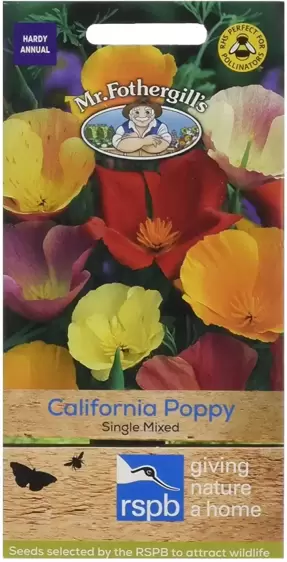 Californian Poppy Single Mixed - image 1