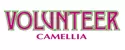 Camellia Volunteer