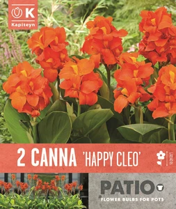 Canna Happy Cleo