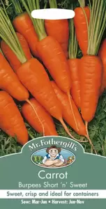 Carrot Burpees Short 'n' Sweet - image 1