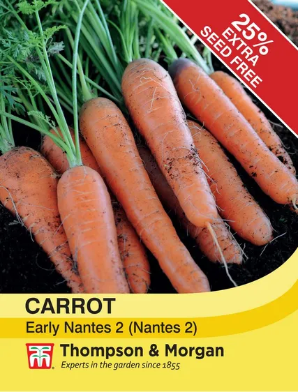Carrot Early Nantes 2 - image 1