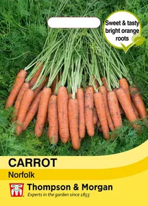 Carrot Norfolk - image 1