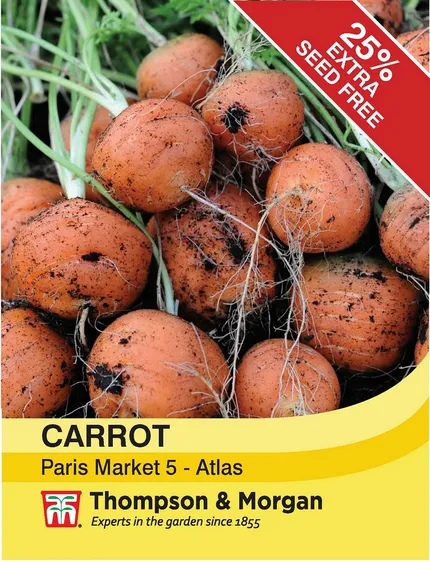Carrot Paris Market 5 - Atlas - image 1