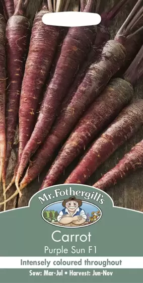 Carrot Purple Sun F1 - image 1