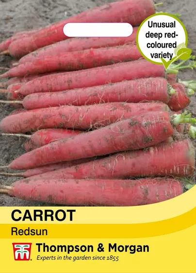 Carrot Redsun - image 1