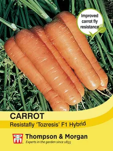 Carrot Resistafly 'Tozresis' F1 - image 1