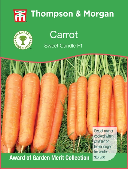 Carrot Sweet Candle F1 - image 1