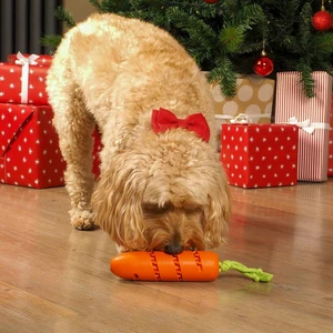 Carrot Treat Dispenser